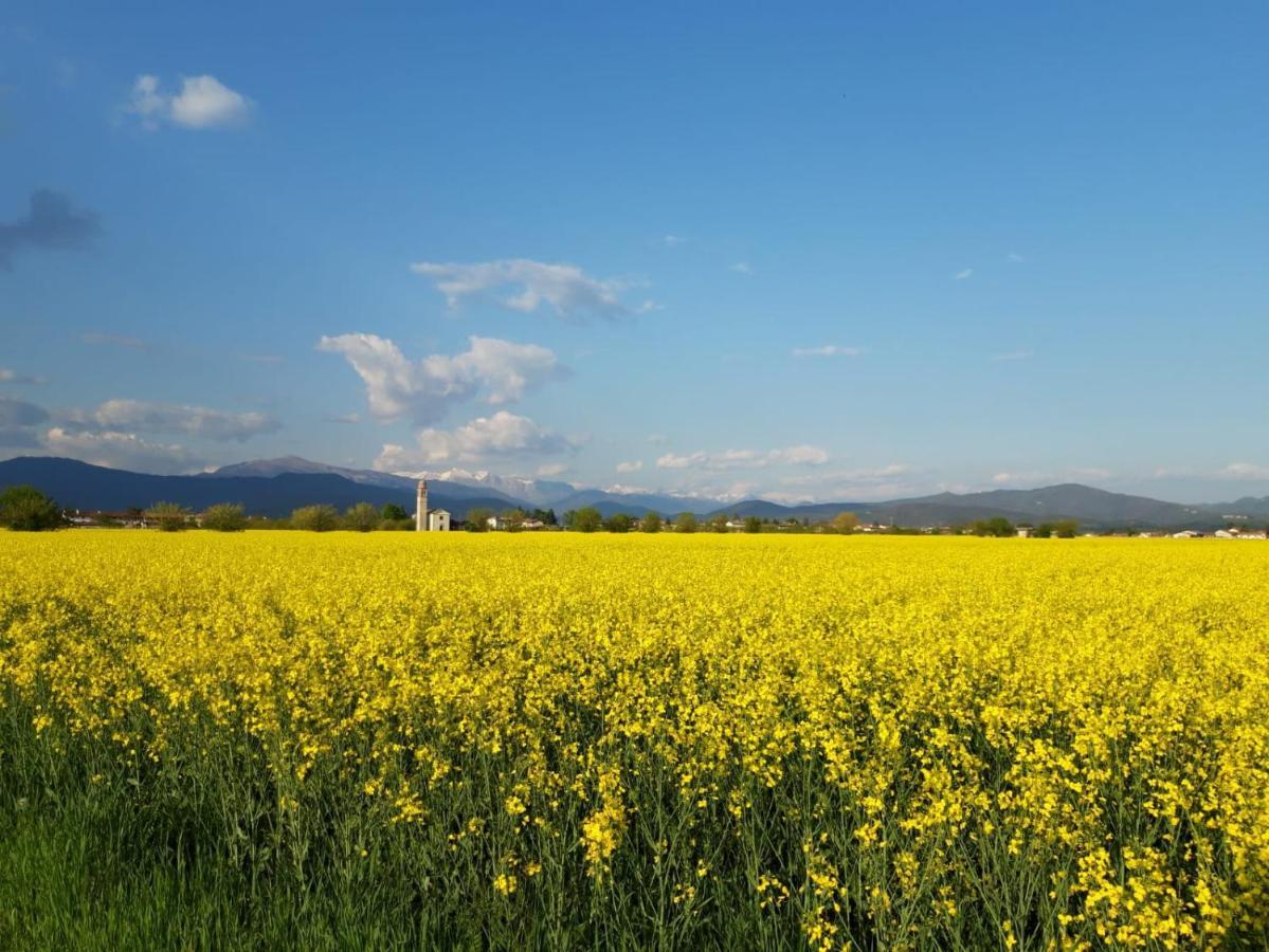 Agriturismo Antica Corte Contadina Premariacco Екстер'єр фото
